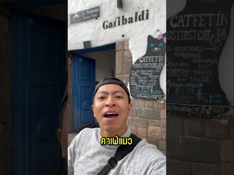 คาเฟ่แมว เปรู 🇵🇪 #peru