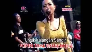 kelangan rena kdi new palapa