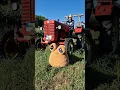 Download Lagu Pou had a bad day when he was run over by a tractor. 🤕😂 #pou #plushie #plushtoy