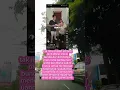 Download Lagu Willie sallim dan bunda dor dor viral #williesalim #trending #masukberanda #beritaterkini #viral