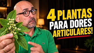 4 PLANTAS PARA DORES ARTICULARES!