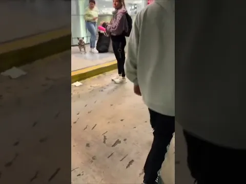 Dog surprise him 😱.#shorts
