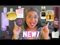 Download Lagu 🔥 NEW PERFUMES 2025 | Hermes Barenia Intense, Kilian Angels Share on the Rocks, SDJ Sundays in Rio