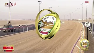 ش2 دولة لـ هجن الرئاسة سلطان محمد الوهيبي مهرجان الوثبة 20 05 2025م السيف الذهبي للحيل 11 44 74 