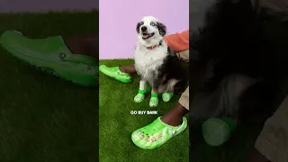 Seme3 Ya Samir BarkCrocs DogStyle OrderNow 