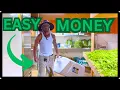 HOW I HARVEST AND WASH 1000 S WORTH OF LETTUCE EVERY WEEK STATION