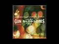 Download Lagu Gin Blossoms - 'Til I Hear It From You