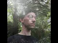 roots