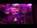 Lovebirds Claptone Mrs Sippy Bali
