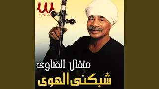 شبكني الهوي دندنها