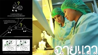 ทำไมนักวิจัยต้องใช้ห้องปฏิบัติการที่ปลอดเชื้อเมื่อทำการทดลองกับเซลล์มะเร็ง