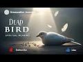 Spiritual Meaning of a Dead Bird 5 Powerful Signs You Must Not Ignore