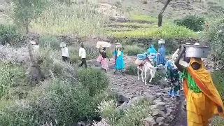 تراث شعب فور في جبل مرة 