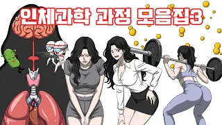 인체과학 "과정" 애니메이션 모음집3 / Human Body Processes Animation Collection 3