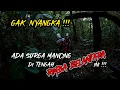 Lagu INI BARU LEMPAR SEDOT !!! IKAN GAK ADA HABISNYA !!!