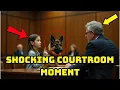Shockwave in the Courtroom Little Girl s Secret Signal Stops Justice in Its Tracks