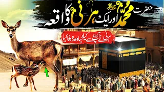 Prophet Muhammad (SAWW) Aur Hirni Ka Waqia | Islamic Stories in Urdu | SajoO TV