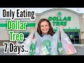 I Ate Only DOLLAR TREE Food for 7 Days Here s What Happened Julia Pacheco