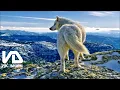 Best of EDX Vol 2/4 (Progressive & Melodic House Mix)