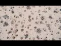 Hello Meteor - An Unfamiliar Place | Red Band Trailer [HD]