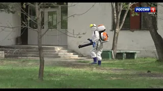 «Вести Омск», утренний эфир от 12 мая 2021 года