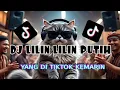 DJ LILIN LILIN PUTIH SLOW BASS MAKIN LAMA MAKIN ENAK YANG DI TIKTOK BY Yanz Tube