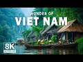 Lagu Wonders of Vietnam - Discover Vietnam’s Most Stunning Landscapes - Travel Video 4K