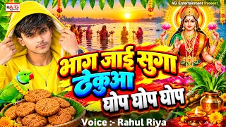 छठ पूजा का गाना | भाग जाई सुग्गा ठेकुआ घोप घोप घोप #Rahul Riya | Bhag Jai Suga Thekua Ghop Ghop Ghop