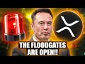 Download Lagu XRP TO $1000 IS A MUST!? (THE FLOODGATES ARE OPEN!!!) - Elon Musk