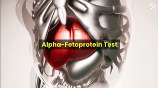 What is Alpha-Fetoprotein