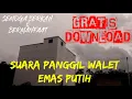 Download Lagu GRATIS, SP WALET EMAS PUTIH
