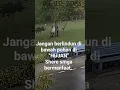 Download Lagu Inilah kenapa jangan berteduh dibawah pohon saat berteduh.kena petir