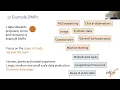 ELIXIR-UK RDM Club - Showcasing example Data Management Plans with Data Stewardship Wizard