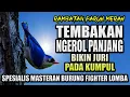 Download Lagu RAMBATAN PARUH MERAH TEMBAKAN ROLL PANJANG || Masteran murai batu terbaik