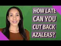 How late can you cut back azaleas