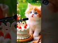 Lagu BAO BIRTHDAY | HAPPY BIRTHDAY SONG WITH NAMES | Adorable Cute Cat 😺 #cat #cute #happybirthday