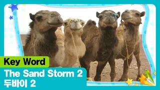 The Sand Storm 2 I 두바이 2 I Key Word I The Adventures Of Miro 시즌1 26회 