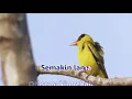 Download Lagu Shahir - Kebahagiaan Dalam Perpisahan (Lirik)