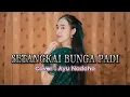 Download Lagu SETANGKAI BUNGA PADI - Cover Ayu Nadaho