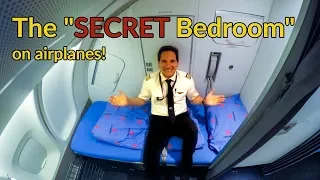 Where do PILOTS FLIGHT ATTENDANTS sleep on PLANES Explained by CAPTAIN JOE
