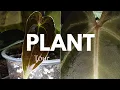 Download Lagu Plant tour mai 2025 partie1