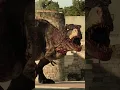 Download Lagu ZOMBIE T-REX