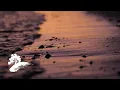 Download Lagu Beegie Adair - Moments To Remember [Valentine's Day Visualizer]