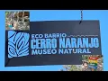 Download Lagu Museum  of Nature, Piribebuy, Paraguay