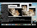 Rotation of image OpenCV Python Tutorials Image And Analysis - part3