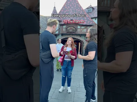 Which one are you?? Tag your friends ⬇️😂 #disneyland #groupof3 #funny #passengerprincess