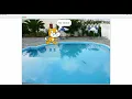 Scratch Project Demo IF THEN Code Block