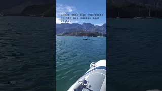 Dolphin Encounter #dolphin #adventurecantwait #sailing #sealife