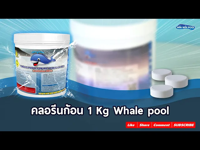 คลอรีนก้อน 90%TCCA90T 1 KG Whale Pool