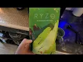 Is the Ryze Mushroom Matcha Good Honest Review